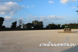 ลานมันมดตะนอย